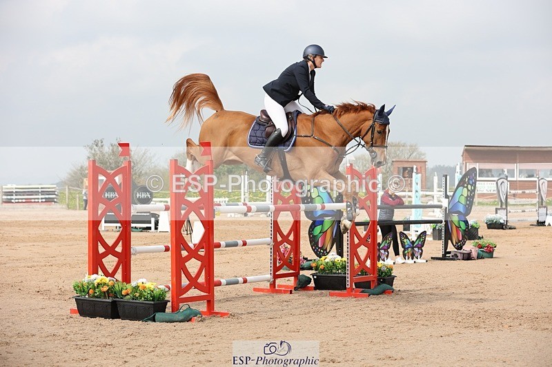 250424-105856-03328 - Cls 33 Young Horse 7yr old