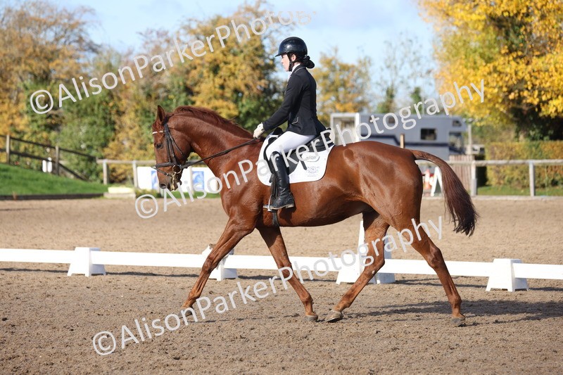 20251102-0591 - Class 4 - Novice 6