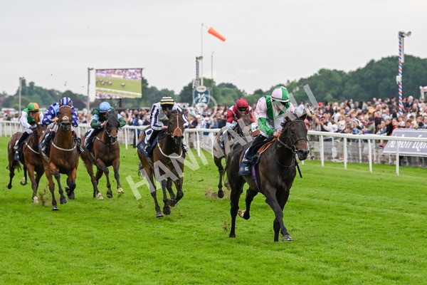 250524-Race 3-Starlust-3236 - Race 3 2.45pm William Hill Extra Place Races Daily Handicap