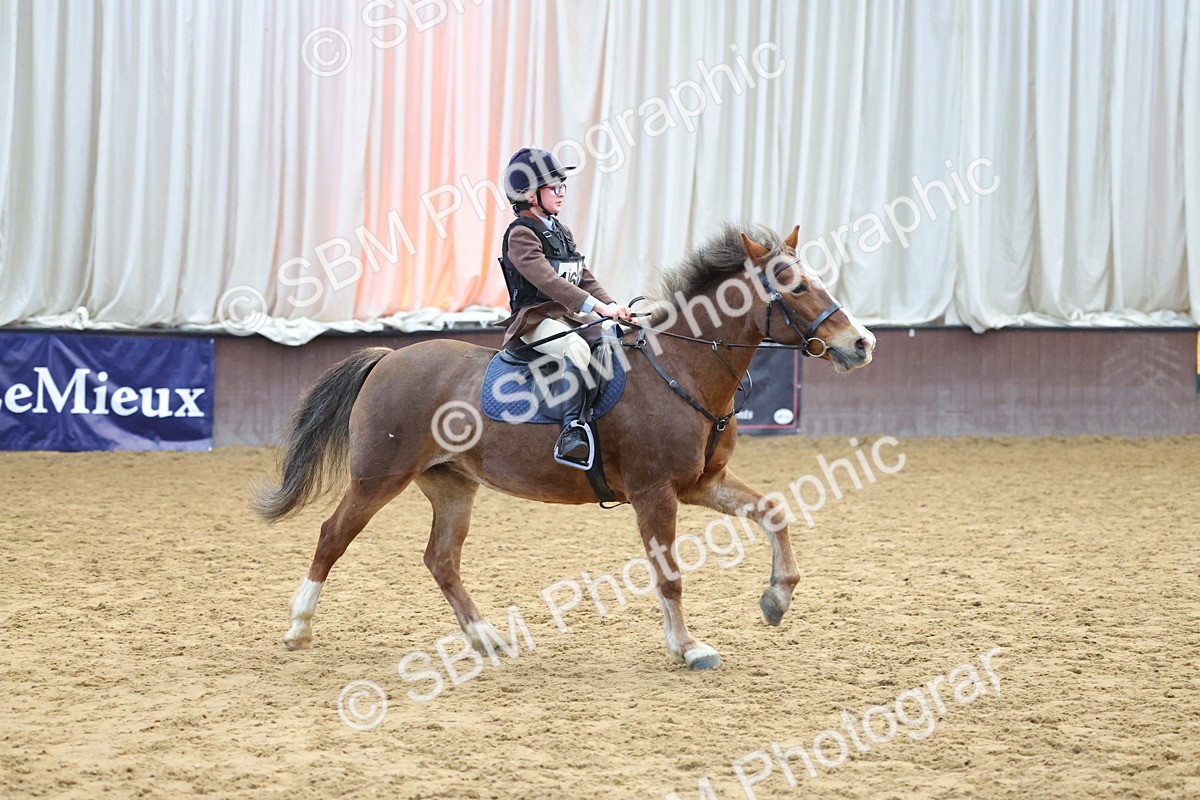 SBM_000968 - Class 3 - 60cm