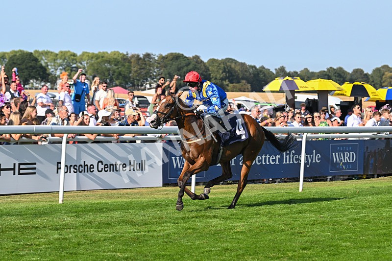 130825-Race 7-Tees Aggregates-9708 - Race 7