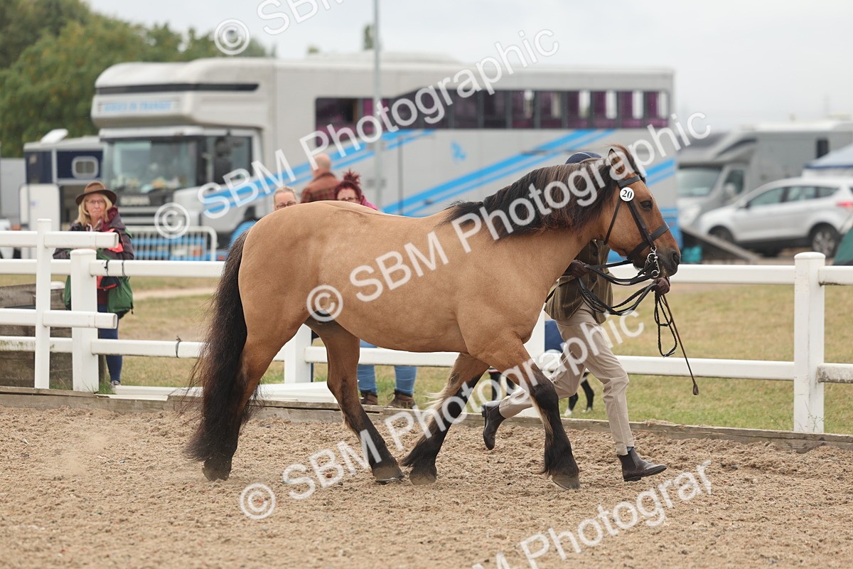 SBM_00487 - Class 13 Young Handler