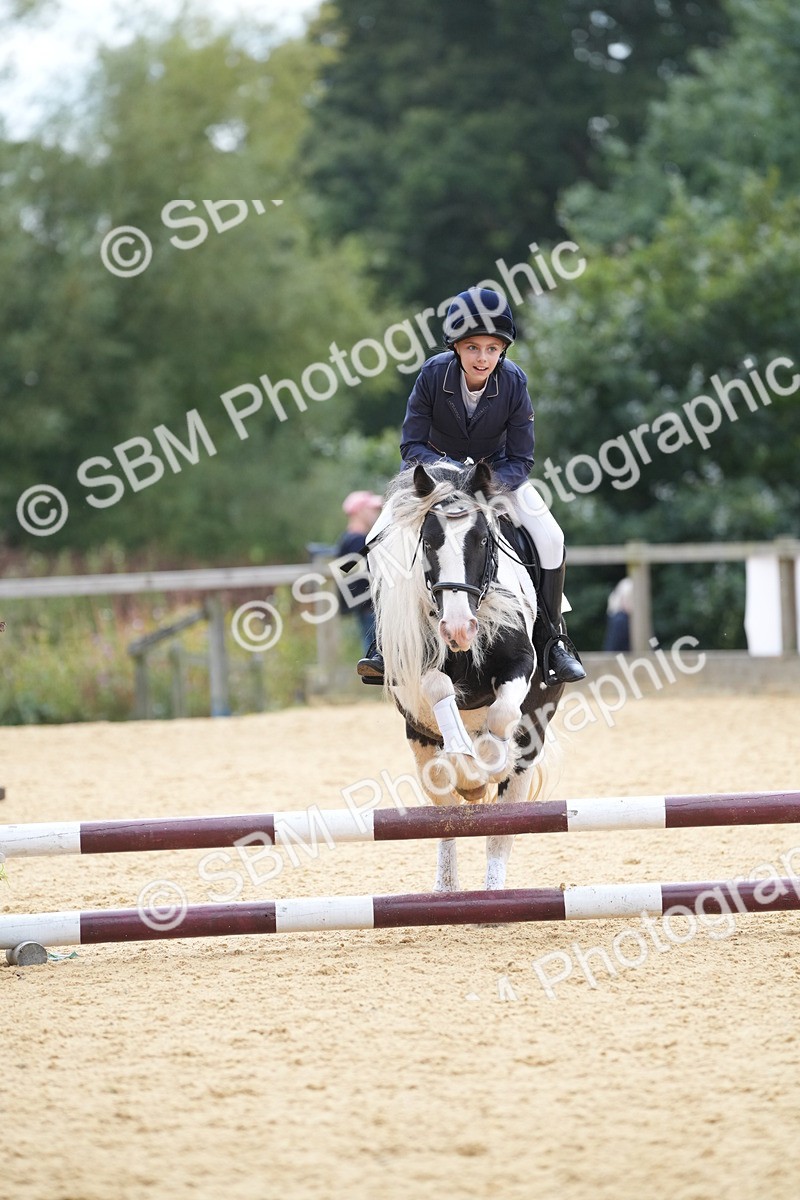 SBM_74767 - J4 - Mini Tour Junior Pony 45cm Championship