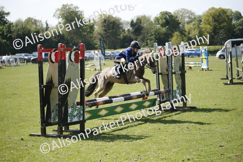 20250427-2257 - Class 13 - Novice Jumping 60cm