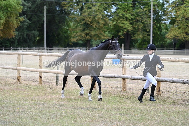 WJ7_8987 - Class 4a Prettiest Mare 14.2hh and over