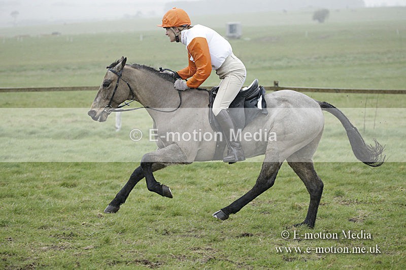 PtP 150320 0092 - New Forest Point-to-Point Larkhill 15/03/20