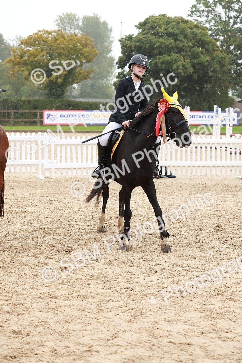 SBM_73606 - Supreme Championship Junior Pony 60cm & 65cm