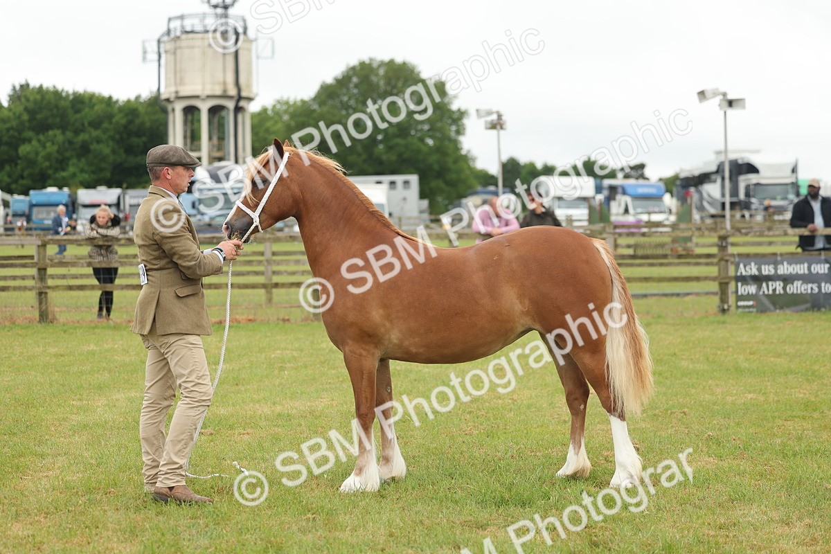 SBM_02347 - Class 50-57 - M&M Welsh Pony In Hand