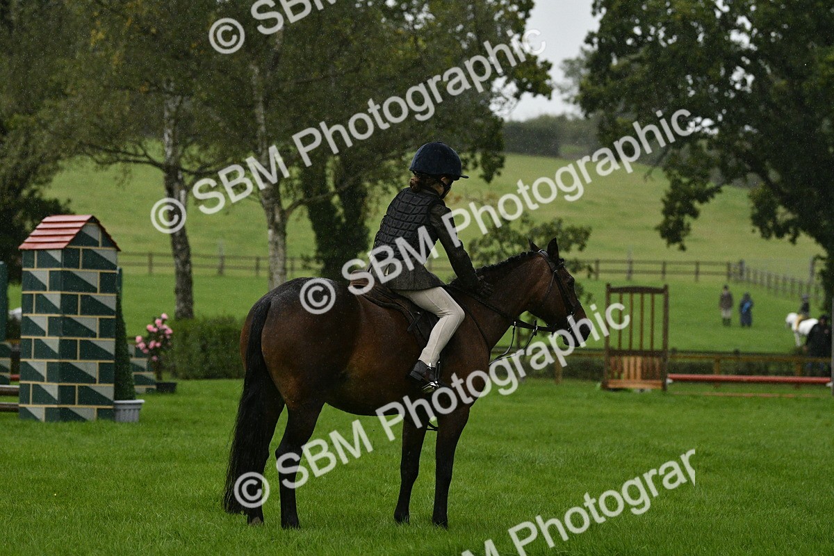 SBM_35506 - S30 - Nursery Stakes Working Hunter Pony