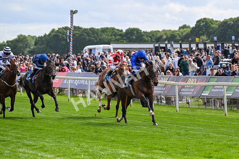 130626-Race 5-Inner City Blues-0578 - Race 5 16.15pm Tomahawk Restaurants Supporting Macmillan EBF Maiden Stakes