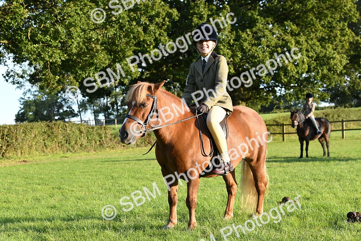 SBM_54147 - S23 - 1st Ridden Mountain & Moorland Pony