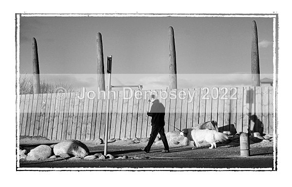 Postie Walking His Dog - Walking the Dog
