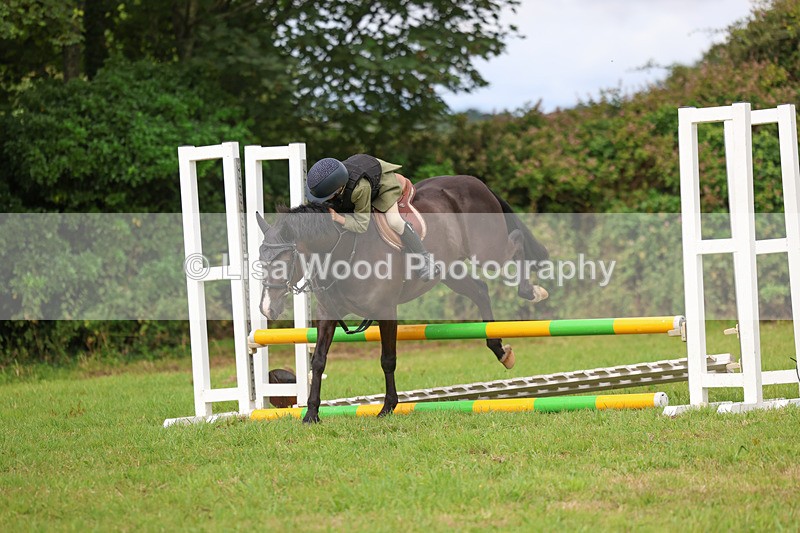 3E7A5454 - Class 1: 60cm Juniors and Seniors