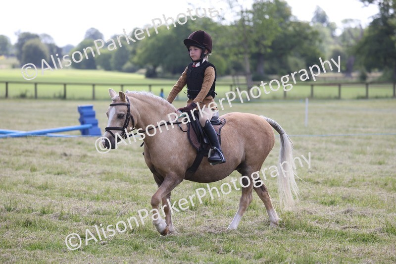 20260614-0465 - Class 20 - Beginners Working Hunter Pony