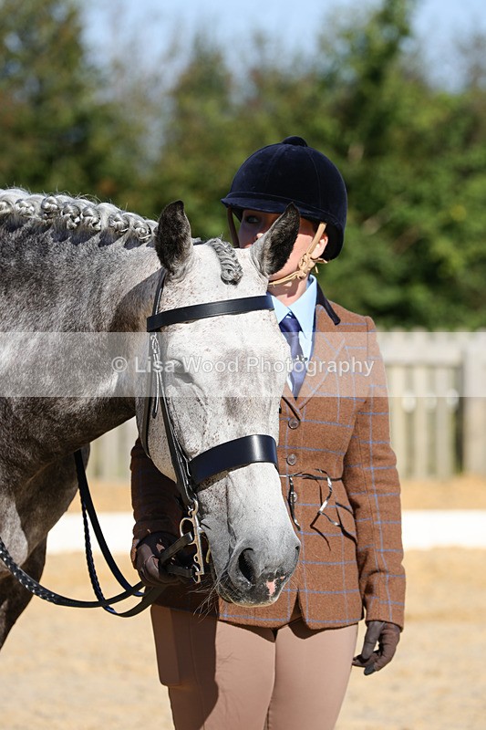 1X9A7805 - Class 9: Open Ridden Hunter