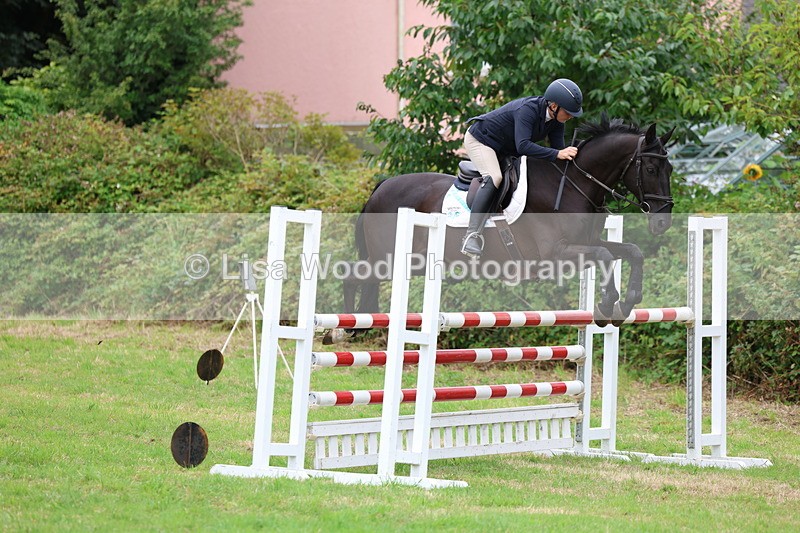 3E7A8417 - Class 8: Senior Foxhunter/1.20m open