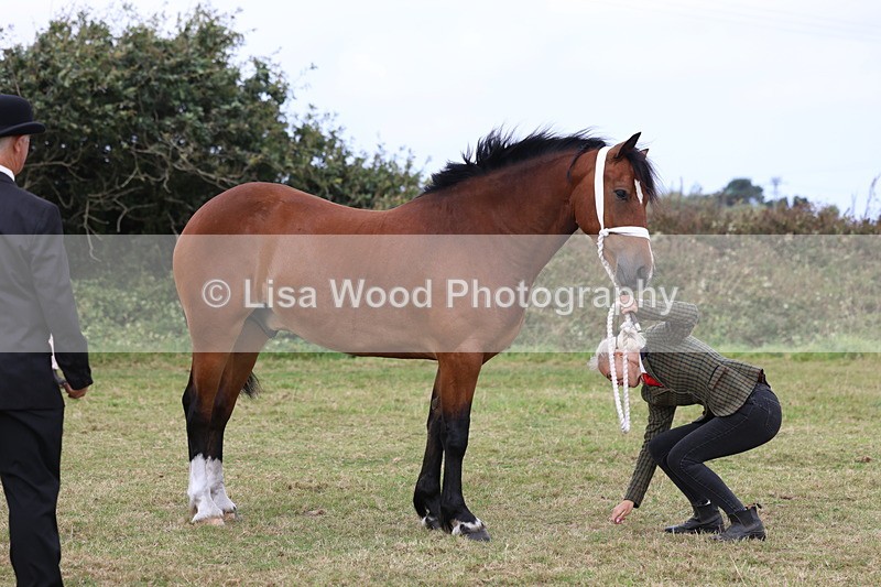 3E7A4428 - Class 15: Three Year Olds