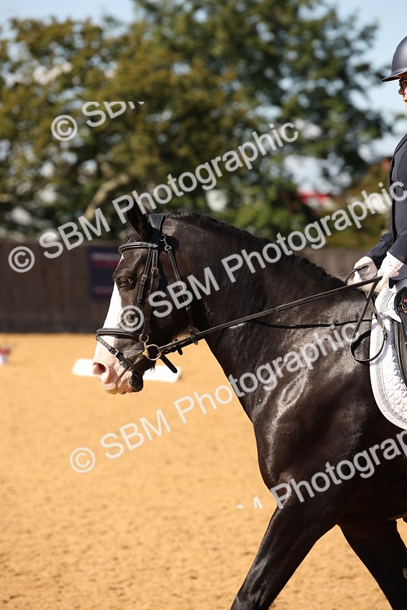SBM_24233 - D5 - Small Tour Championship - Intro C