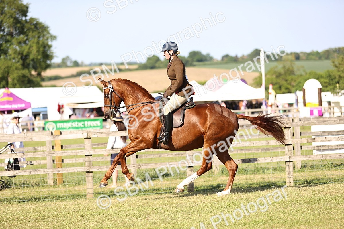 SBM_19727 - Class 87-88 - RIHS BSHA Riding Horses
