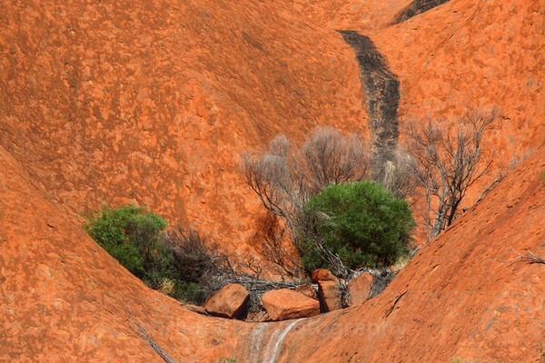  - Australian and American Landscapes