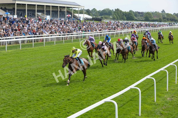 170524-Race 2-Botanical-2156 - Race 2 2.45pm Knights Solicitors Handicap