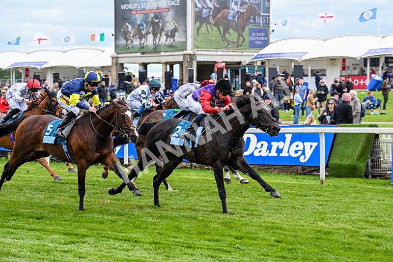 150526-Race 7-Portcullis-8748 - Race 7 5.15pm Darley EBF 'Confined' Novice Stakes