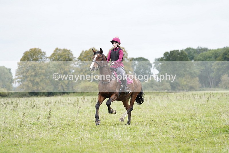 _DSC6599 - Time at Photographer 10:13 to 10:42