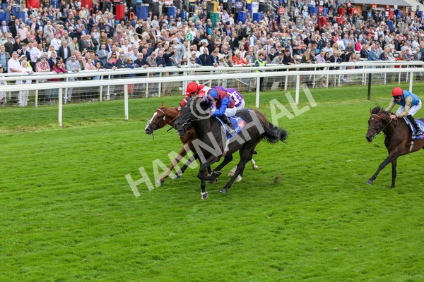 210824-Race 3-Los Angeles-7268 - Race 3 3.00pm Sky Bet Great Voltigeur Stakes
