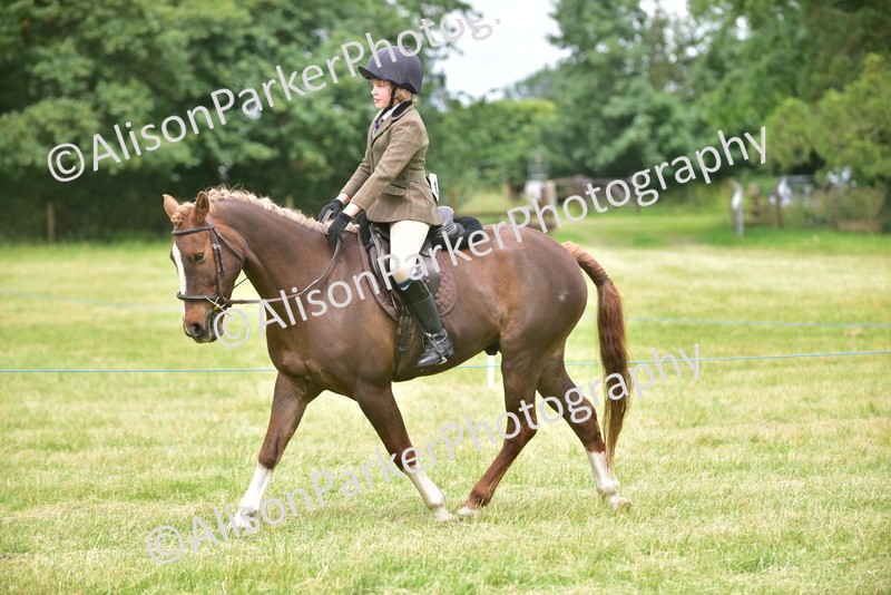 20260614-2671 - Class 13 - Pony Club Pony