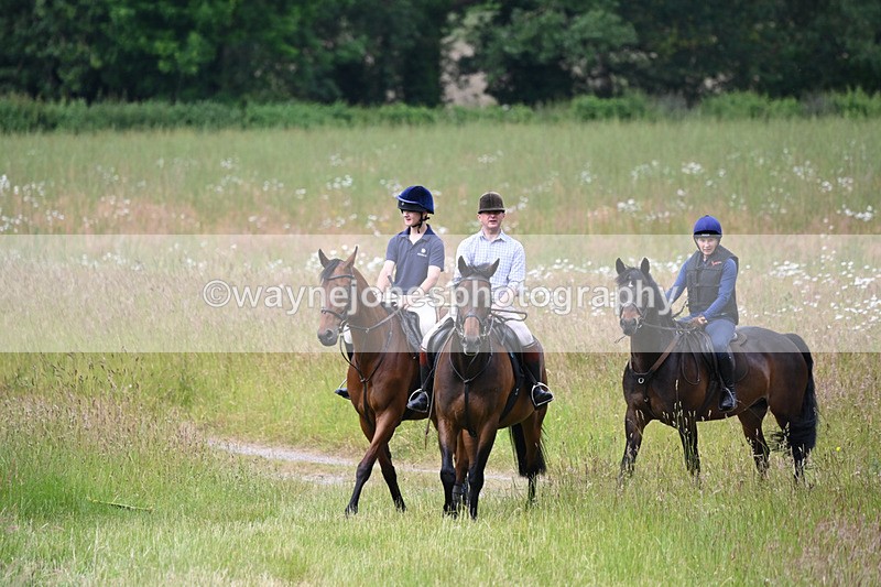WJ6_7848 - Camera 1 Gallops