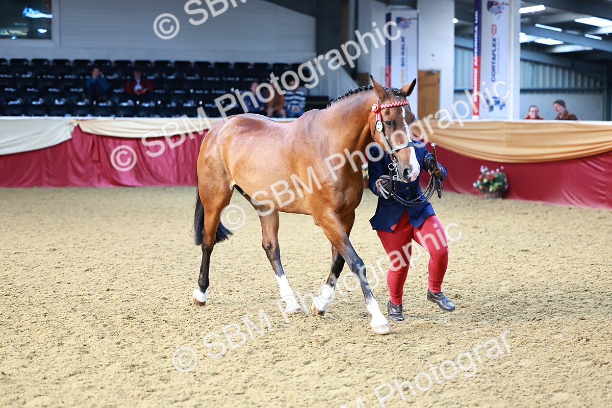 SBM_21780 - Class 901 - Supreme Final - IH  Diamond