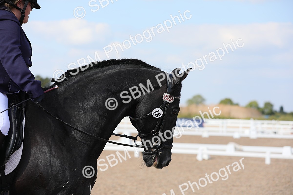 SBM_07623 - Class 33 Elementary 1