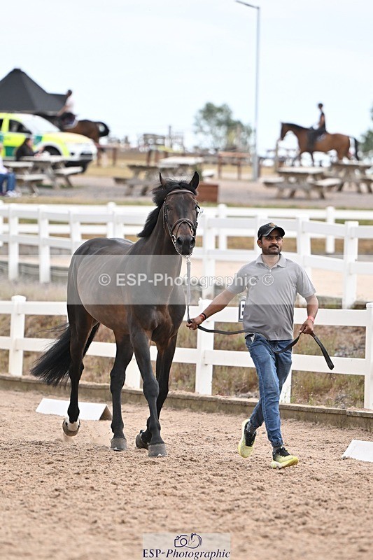 250716-145601-01524 - Trot Up 2.30 to 3.30