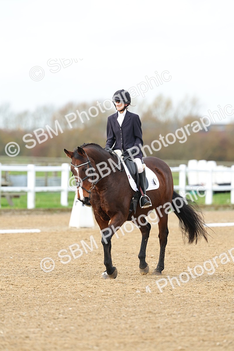 SBM_003539 - Class 6 - Novice 2