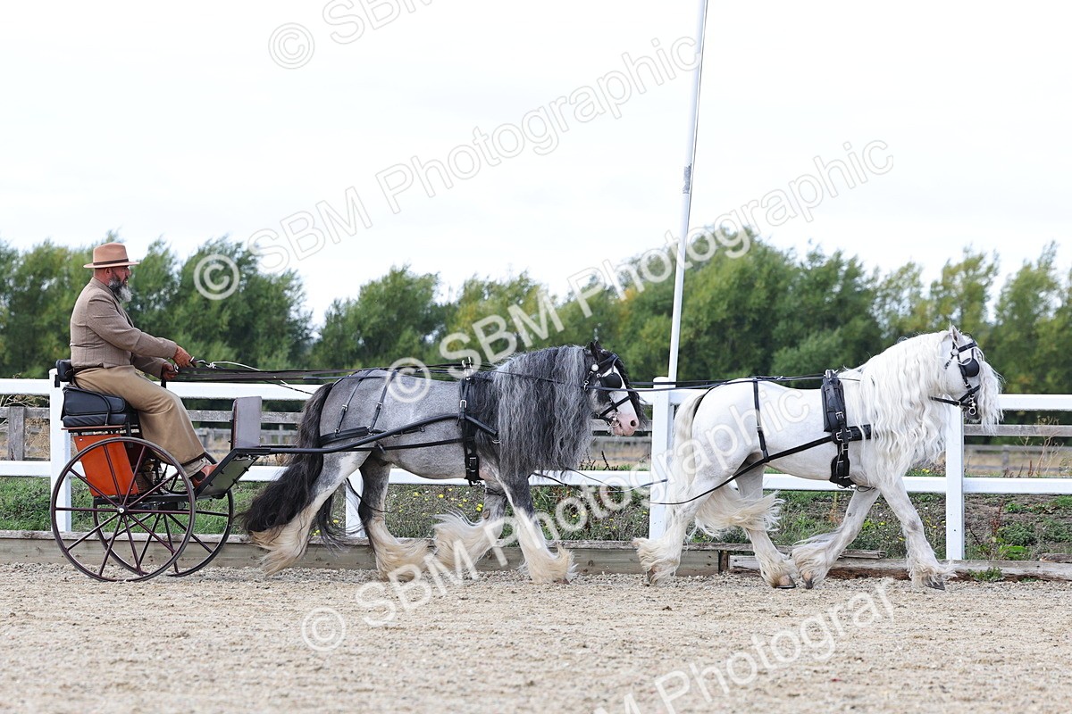 SBM_001153 - Class 16 - Pairs ,Multiples and Tandems