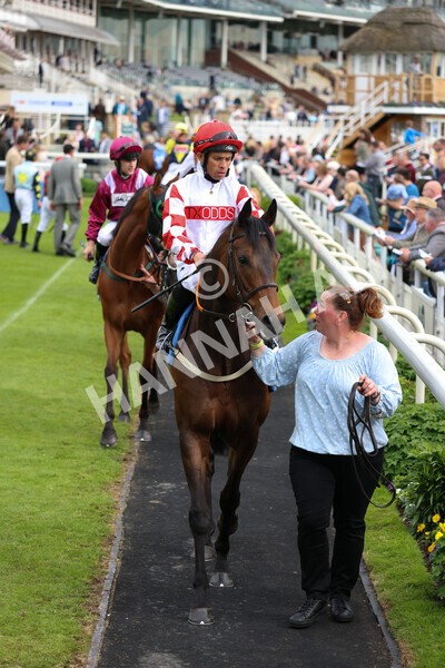 yr22052022r4-6 - Race 4: 5:05pm Sky Bet Sunday Mile