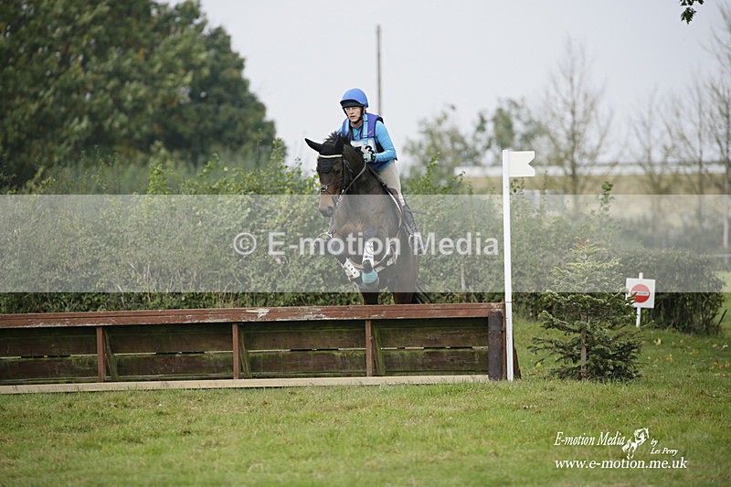  WWHT 171021 1049 - Open Novice (0.80m)  17/10/21