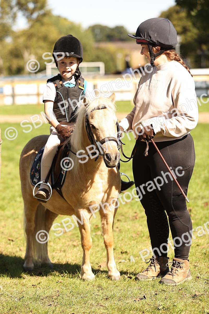 SBM_19313 - S3 - TSR Ridden Pony Showing