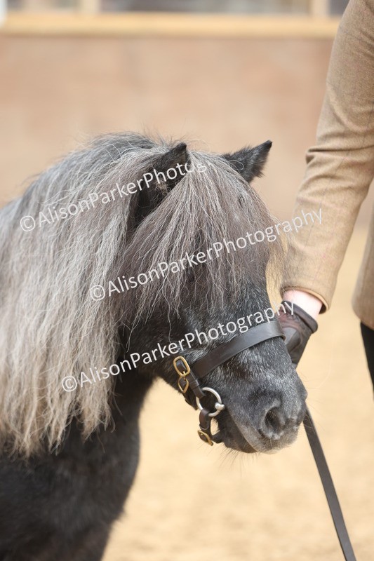 20251109-0045 - Class 3 - 2 and 3 Year Old