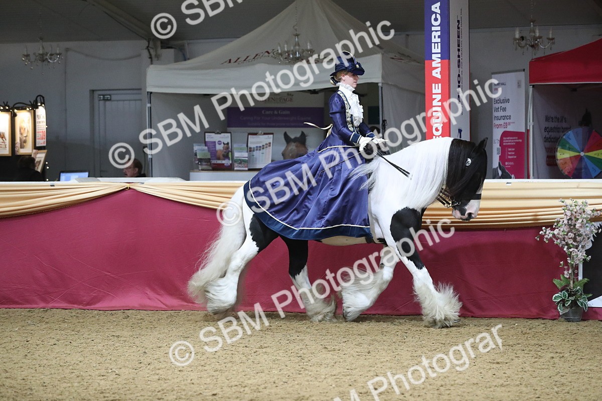 SBM_11985 - Class 106 Ridden Costume- Astride Adult (15-19)