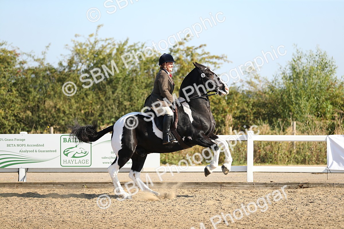 SBM_01269 - Class 42 Ridden Veteran