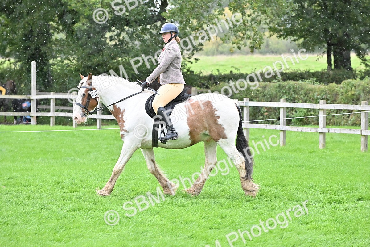 SBM_42964 - S12 - Family Horse & Pony