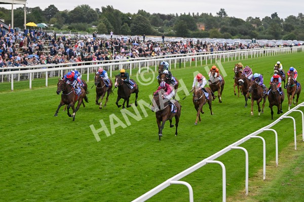 210824-Race 5-Extensio-5395 - Race 5 4.10pm Sky Bet Stayers Handicap