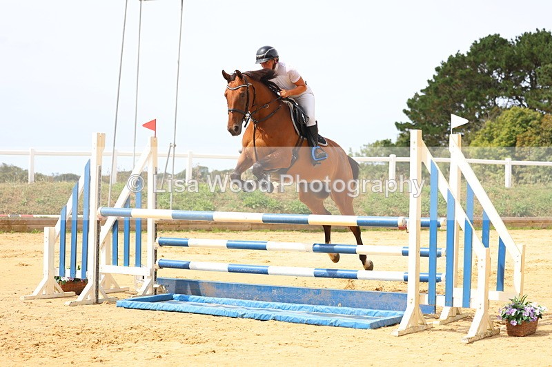 3E7A4237 - Class 7: Senior Newcomers/1.10m open