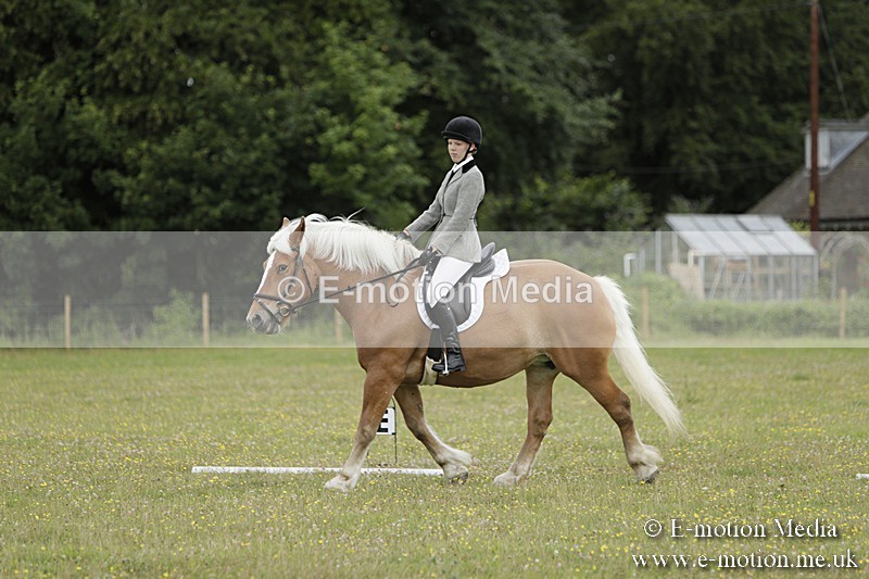 BVR160717-677 - Class 1 & 23a Dressage 16/07/17