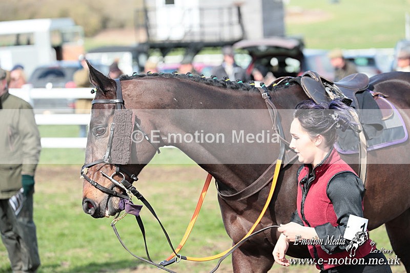 PtP 230324 226 - Tedworth Hunt PtP Larkhill Raccourse 23rd March 2024