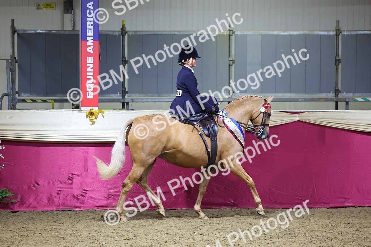0B8A4258 - Class L Side Saddle Champ