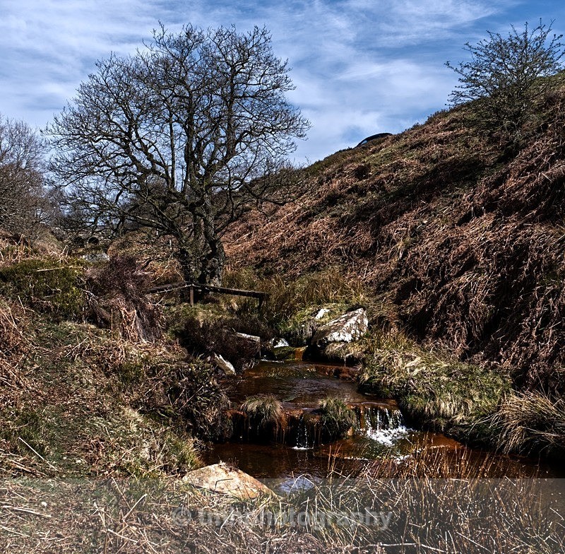Moorland Beck. - Yorkshire Countryside