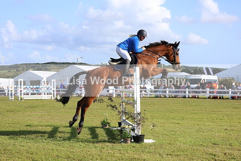 3E7A4382 - Class C: Showjumping Senior Foxhunter