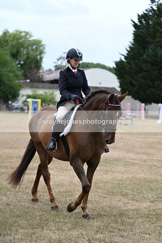 WJ7_0775 - Class 7 Riding Club Show Horse